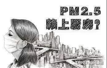 宅男视频APP大全裏的油煙