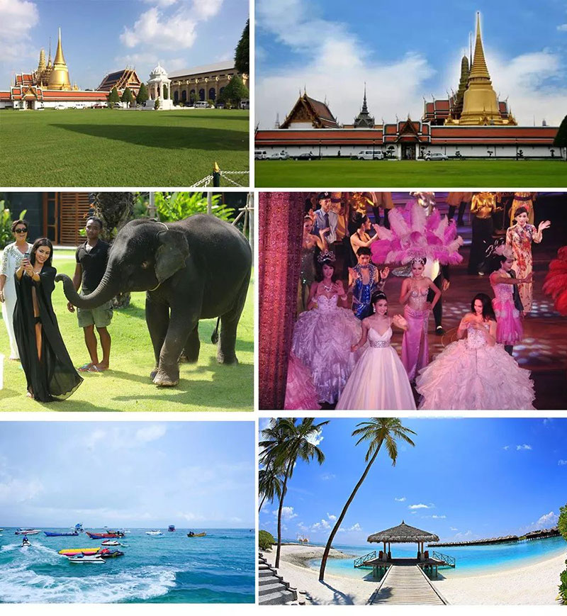 宅男在线免费网站宅男视频免费下载品牌