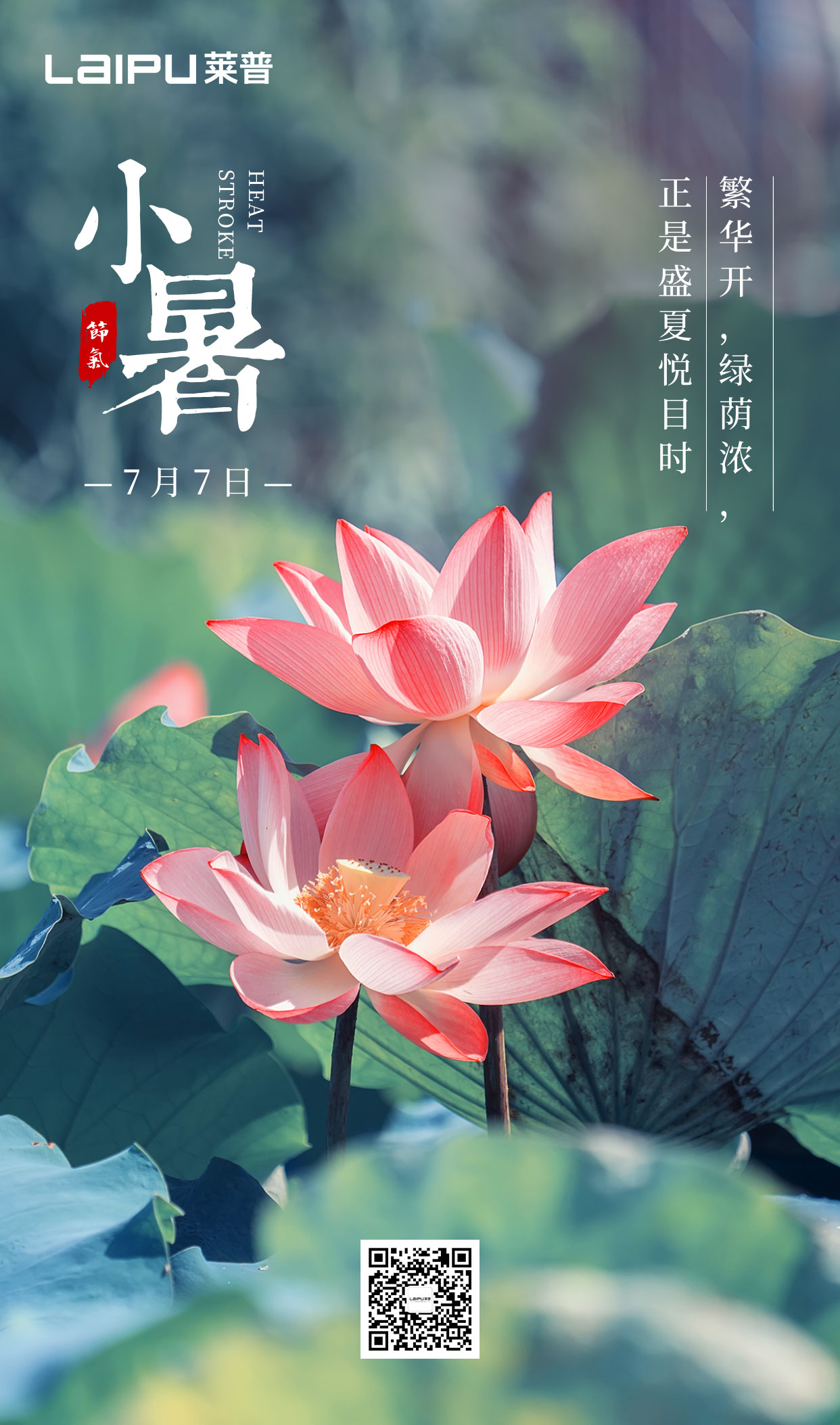 小暑丨小暑清和夏日長，宅男视频APP大全無煙風自涼