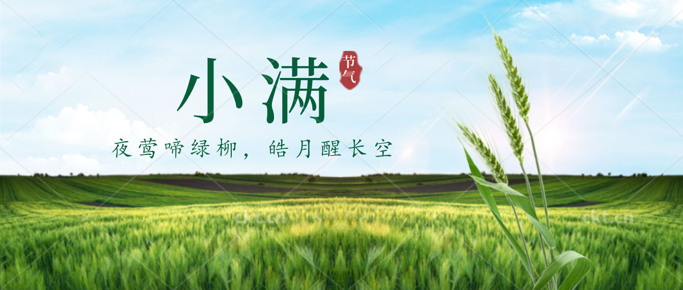 小滿已至，小得盈滿